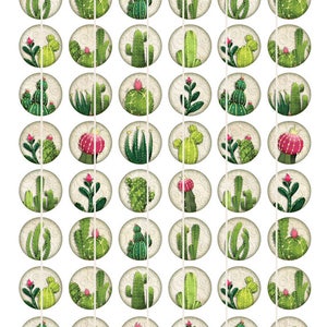 Digital Collage Sheet Cactus Digital Download Cabochon Images - Etsy