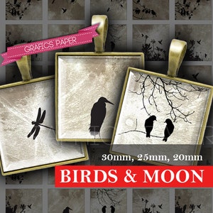 Birds and dark Moon Square Digital Collage Sheet - QD10 - 30mm 25mm 20mm - Printable - Bottle caps - Image Pendant, Picture Necklace Tiles