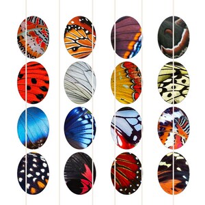 Butterfly Wings Patterns Digital Collage Sheet Ovals- OV56 - 30x40mm ...