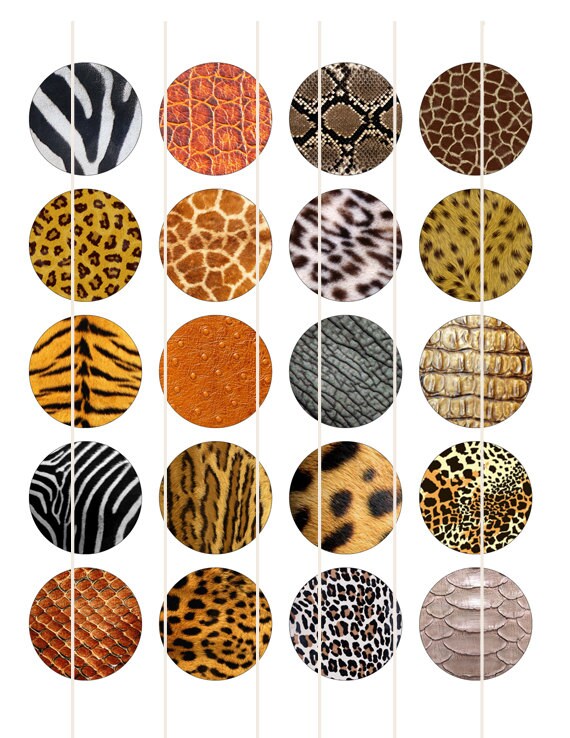 Animal Skins Animal Pattern Round Graphics Td182 - Etsy