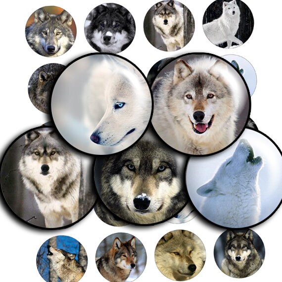 Wolf Images Digital Collage Sheet, Bottle Caps, Jewelry (Digital Download)