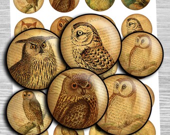 Victorian Owls Steampunk Owldigital collage sheet - td94 - 1.5", 1.25", 30mm 1 inch circles magnet stickers instant download cabochon images