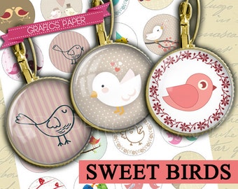 Download Digital Collage Sheet Round Birds Funny 20mm 18mm 16mm 14mm 12mm Circle Earring image,  cufflinks, circle glass, pendants  td058P