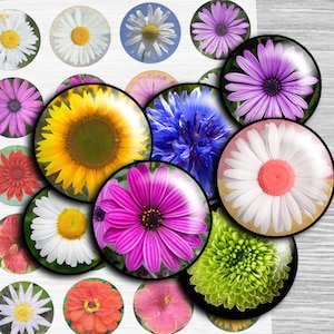 Flower Digital Collage Sheet Circles printable 1 inch Circles, 1.5&quot;, 1.25&quot;, 30mm - Images for Pendants Bottle cap images download td196