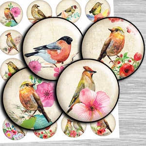 Birds Digital collage sheet rounds INSTANT DOWNLOAD cirlces - td290 - 1.5", 1.25", 30mm, 1 inch - Printable Bottle Cap Images glass cabochon