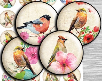 Birds Digital collage sheet rounds INSTANT DOWNLOAD cirlces - td290 - 1.5", 1.25", 30mm, 1 inch - Printable Bottle Cap Images glass cabochon