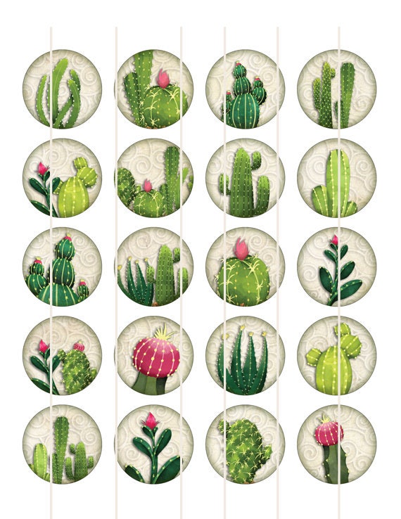 Digital Collage Sheet Cactus Digital Download Cabochon Images | Etsy