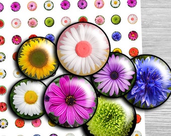 Fiori immagini orecchini Cufflink Digital Collage Foglio cerchi - td196P - 20mm 18mm 16mm 14mm 12mm Instant Download rotondo Pendenti immagine