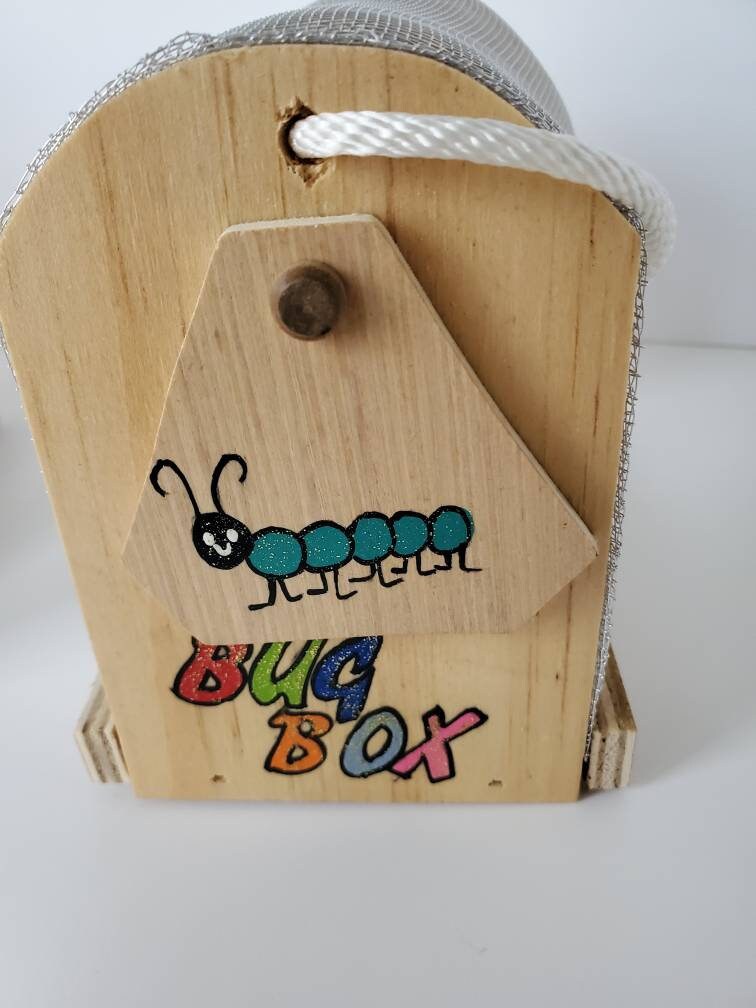 Bug Box - Etsy