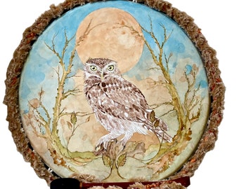 Little Owl Shaman 20” Diameter Healing Frame Drum & beater - Professional Artist signed Original.