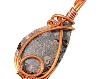 Ammonite Fossil (Madagascar circa 3.5 million years old) & Copper Wire Boho Pendant