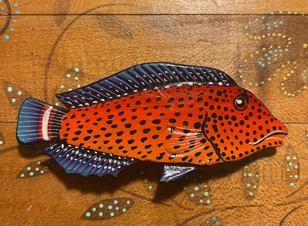 Vintage Hand-painted Large Grouper Fish Hair Barrette - Etsy