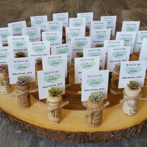 Baby Shower Favors / Baby Girl Baby Boy Set of 12 Custom Party Favor Custom Tags / Wine Cork Faux Succulent Mini Decoration Thank you Gift