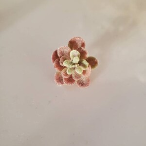 Puede incluir: Una peque&ntilde;a planta suculenta artificial con hojas verdes y rojas. La planta est&aacute; sobre un fondo blanco.