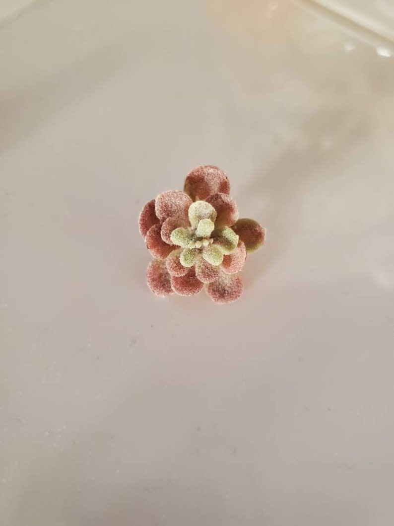 Puede incluir: Una peque&ntilde;a planta suculenta artificial con hojas verdes y rojas. La planta est&aacute; sobre un fondo blanco.