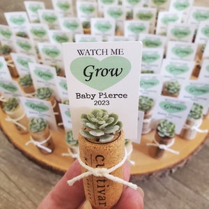 Peut inclure: Un petit succulent dans un pot en liège, attaché avec de la ficelle blanche. Une carte blanche avec le texte "WATCH ME Grow" et "Baby Pierce 2023" est insérée. Plusieurs faveurs similaires sont disposées sur une tranche de bois.