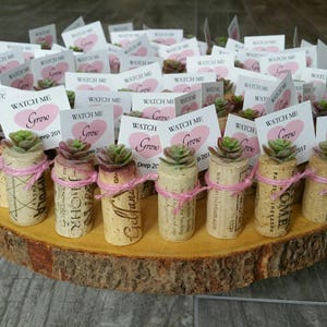 Baby Shower Favors Wedding Favors Girl Boy Set of 12 Custom Party Favor Personalized Tags Wine Cork Faux Succulent Mini Fake Table Decor
