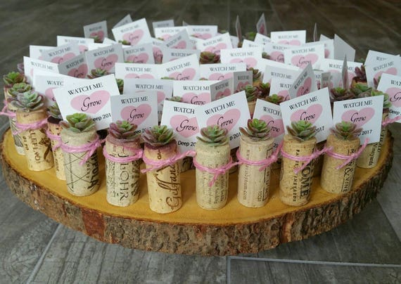 its a girl baby shower favors