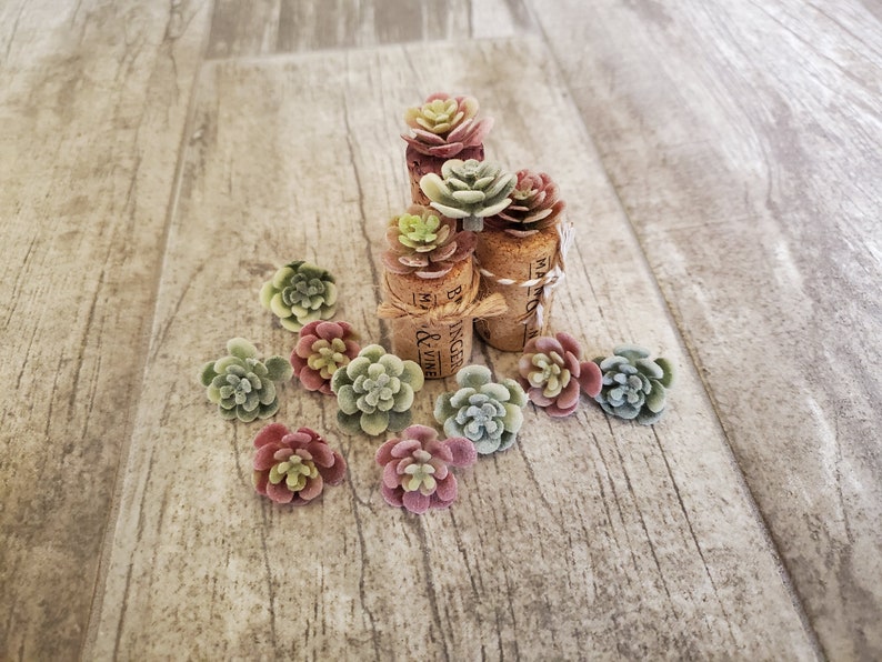 Puede incluir: Una colecci&oacute;n de peque&ntilde;as suculentas falsas dispuestas sobre tapones de corcho. Los tapones est&aacute;n atados con un cordel y tienen impresas las palabras "Wine & Ginger". Las suculentas son de tonos verdes, rosas y blancos.