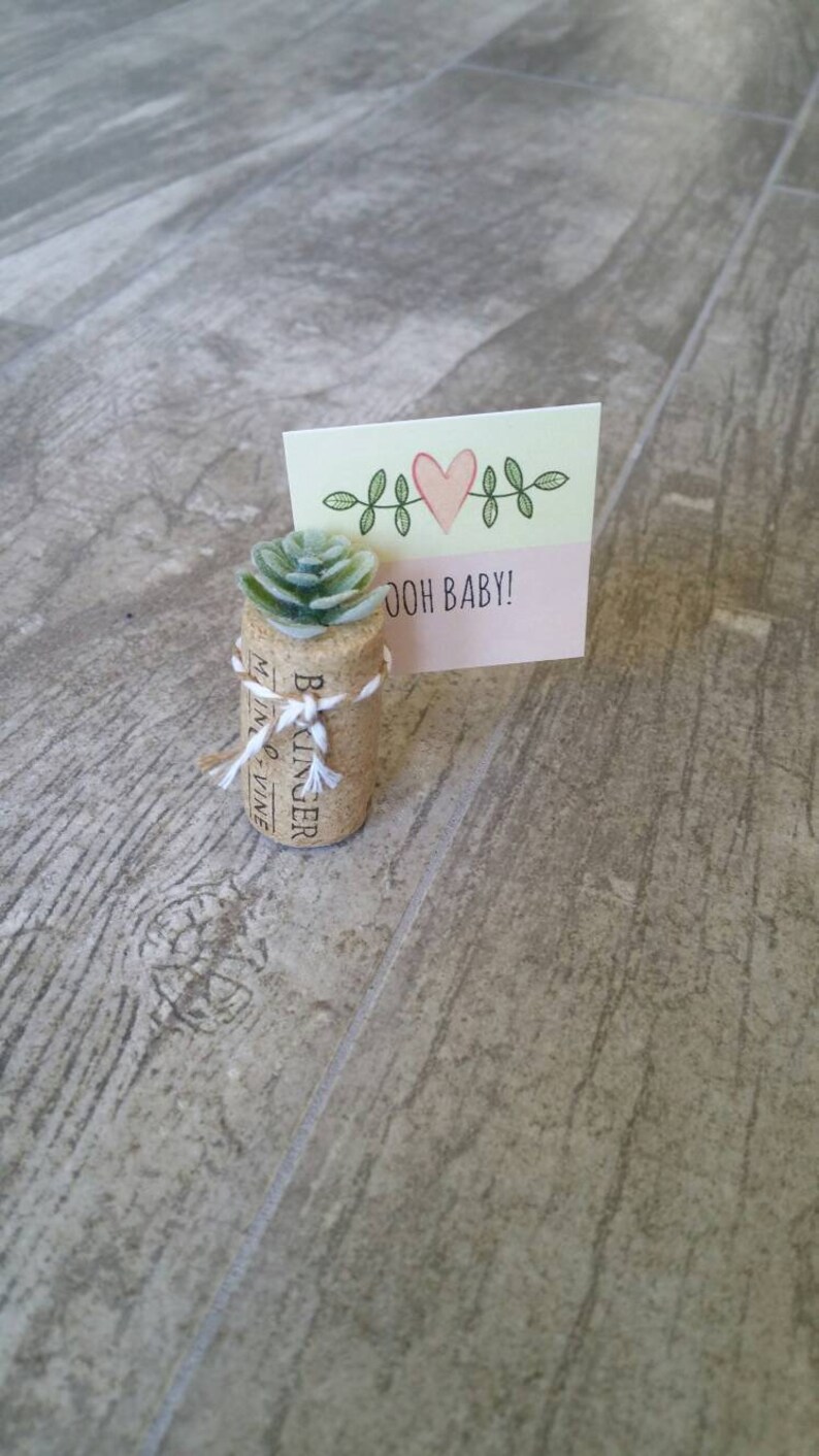 Puede incluir: Una peque&ntilde;a planta suculenta en un corcho con una cinta blanca y una tarjeta rosa y verde que dice "Ooh Baby!"