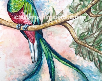Guatemalan Quetzal Bird Art Exotic Bird Art Bird Wall Art Bird Themed Decor Birds of Guatemala Central American Birds Guatemalan Themed Art