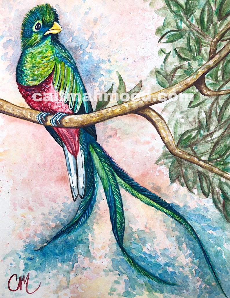 May include: Watercolor painting of a resplendent quetzal bird perched on a branch. The bird features vibrant green, red, and blue plumage with long tail feathers. The background has soft pink, blue, and green watercolor washes. The artist's signature is in the lower left.