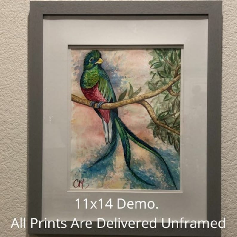 May include: Framed watercolor painting of a resplendent quetzal bird perched on a branch. The bird features green, red, and blue plumage. The artwork is framed in a gray frame and is 11x14 inches. The text says "All Prints Are Delivered Unframed."