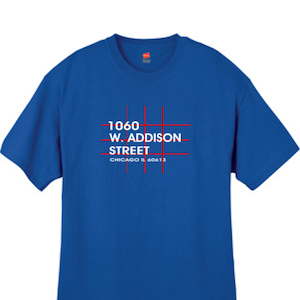 Chicago Baseball Field T Shirt Illinois Deep Royal Sizes Small Medium Large X-Large XX-Large