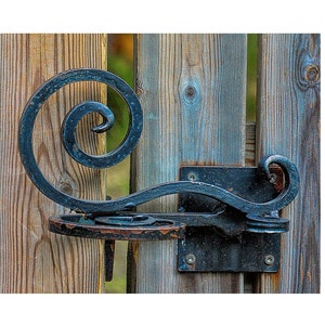 May include: A black metal gate latch with a decorative scroll design. The latch is attached to a wooden gate.