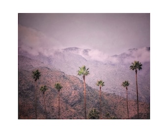 Desert Photography, Palm Trees and Mountains, Misty Clouds, Palm Springs Photography, Desert Décor, Tranquil Large Wall Art
