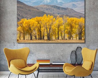 Eastern Sierras Fall Colors Photography, California Fall Colors, Fall in the Sierras, Yellow and Brown Nature Art Print, Large Wall Art