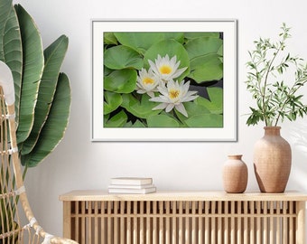 White Water Lilies Art Print, Floral Wall Art, Nature Art Print, Large Wall Art, Large Floral Home Décor, White Green Waterlily Print