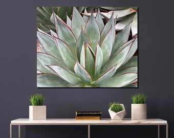 Abstract Agave Art Print, Southwest Desert Print, Desert Photo Art, Western Wall Décor, Succulent Print, Desert Wall Art, Nature Art Print