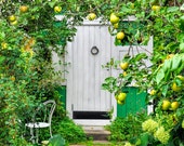 Door Photo Art, Rustic Decor, Country Farmhouse Decor, Door Art Print, Home Decor, Wall Art, Apples, Green White Yellow, Secret Garden