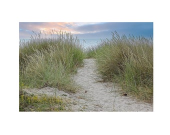 Beach Dunes Photography Print, Coastal Wall Art