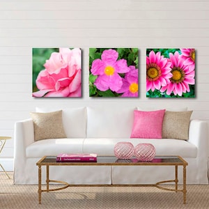 DISCOUNTED SET of THREE Pink Flower Photos, Pink and Yellow Floral Art Print, Wild Rose Photography, Nursery Décor, Girls Room,Bedroom Décor