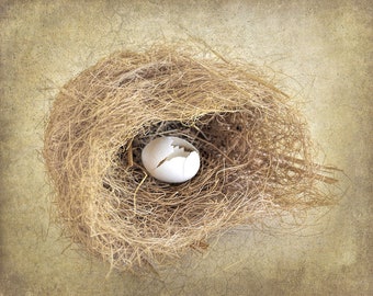 Bird Nest with Egg Photo, Rustic Decor, Nature Photography, Farmhouse Chic, Country Decor, Fixer Upper Style, Neutral Tones, Beige Brown