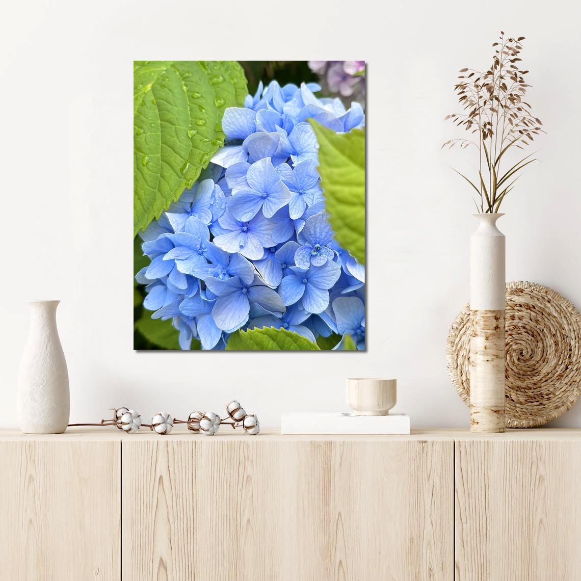 Blue Hydrangea Floral Art Print, Pee-a-boo Hydrangea - Etsy