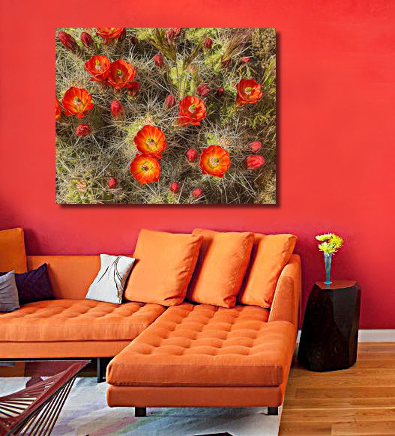 Orange Cactus Flower Print Desert Decor Claret Cup Hedgehog - Etsy