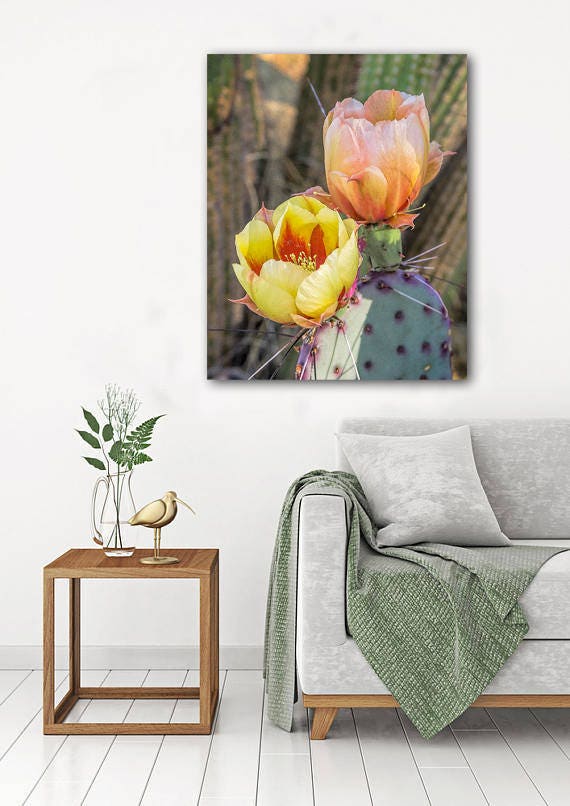 Cactus Flower Art Printdesert Photography Flowering Cactus - Etsy