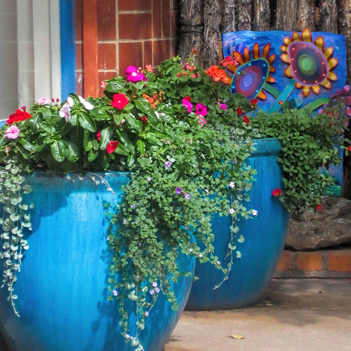 Southwest Decor, Santa Fe Wall Art, Floral Art, Home Decor, Country