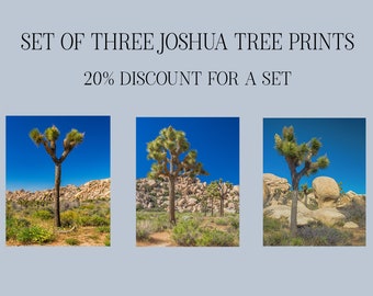 DISCOUNTED SET of Three Joshua Trees Art Print, Southwest Décor, Western Décor, Desert Art