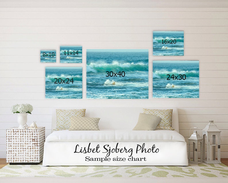 Blue Butterfly Wall Art Nature Art Print Butterfly Etsy