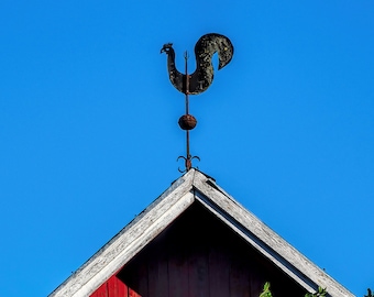 Black Rooster Weather Wane on top of Old Barn Photo, Rustic Country Wall Art, Farmhouse Décor, Country Décor, Black Rooster and Blue Sky