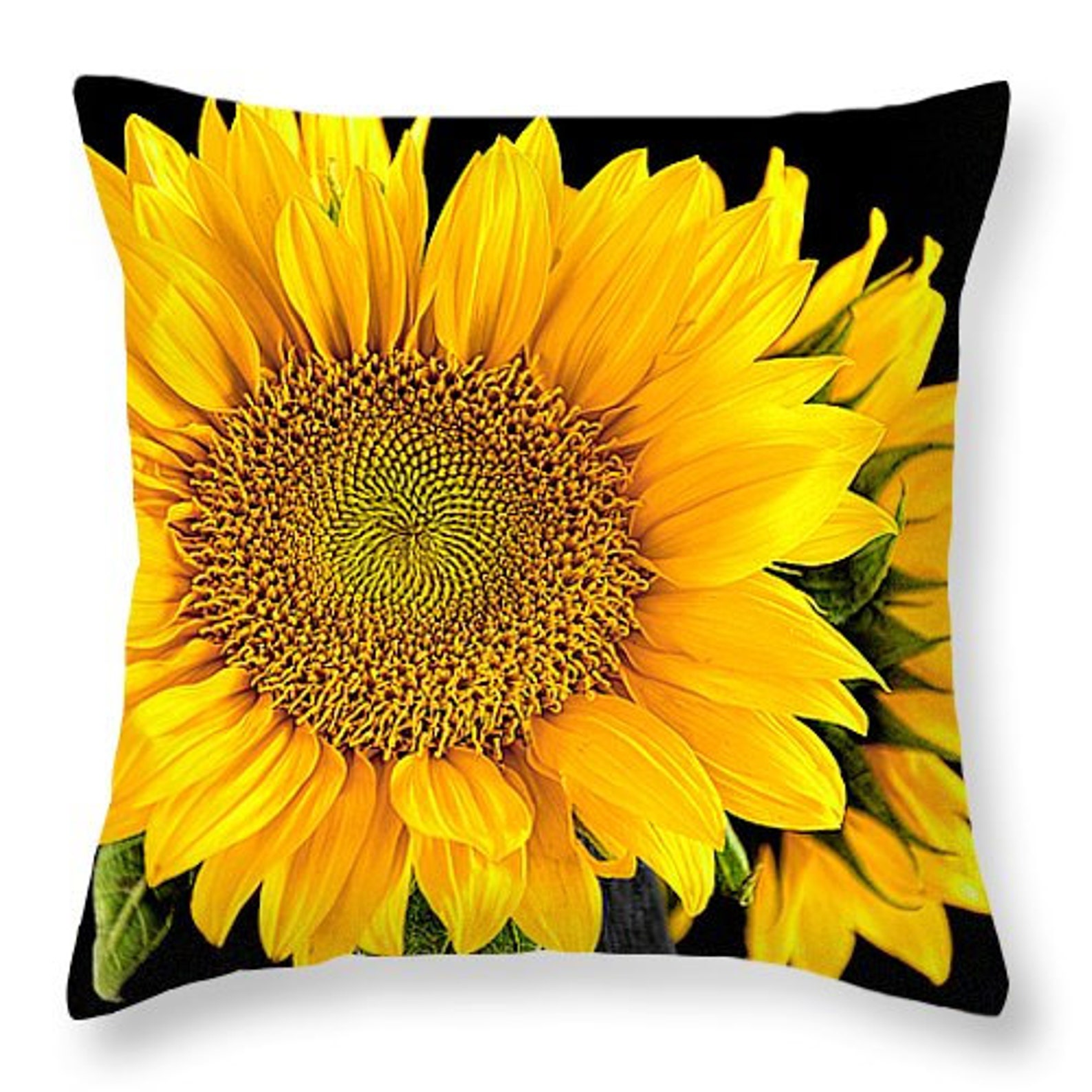 Pillow Cover, Sunflower Photo on Pillow, Home Decor, Decorative Pillow