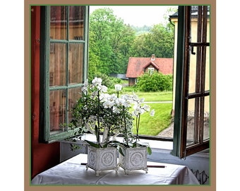 Window Art Print, Open Window, Window View, Summer, Window Photography, Wall Art, Home Decor, White Flowers, View from Window