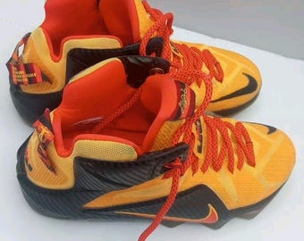 Nike Lebron CLE 2015 Size 9 XII 12 