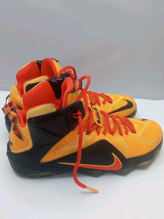 NIKE Lebron James 12 \