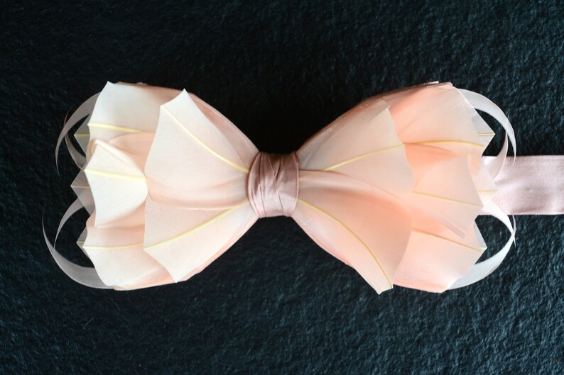 Flamingo 3d Blush Wedding Bow Tie Pale Pink Wedding Feather Etsy