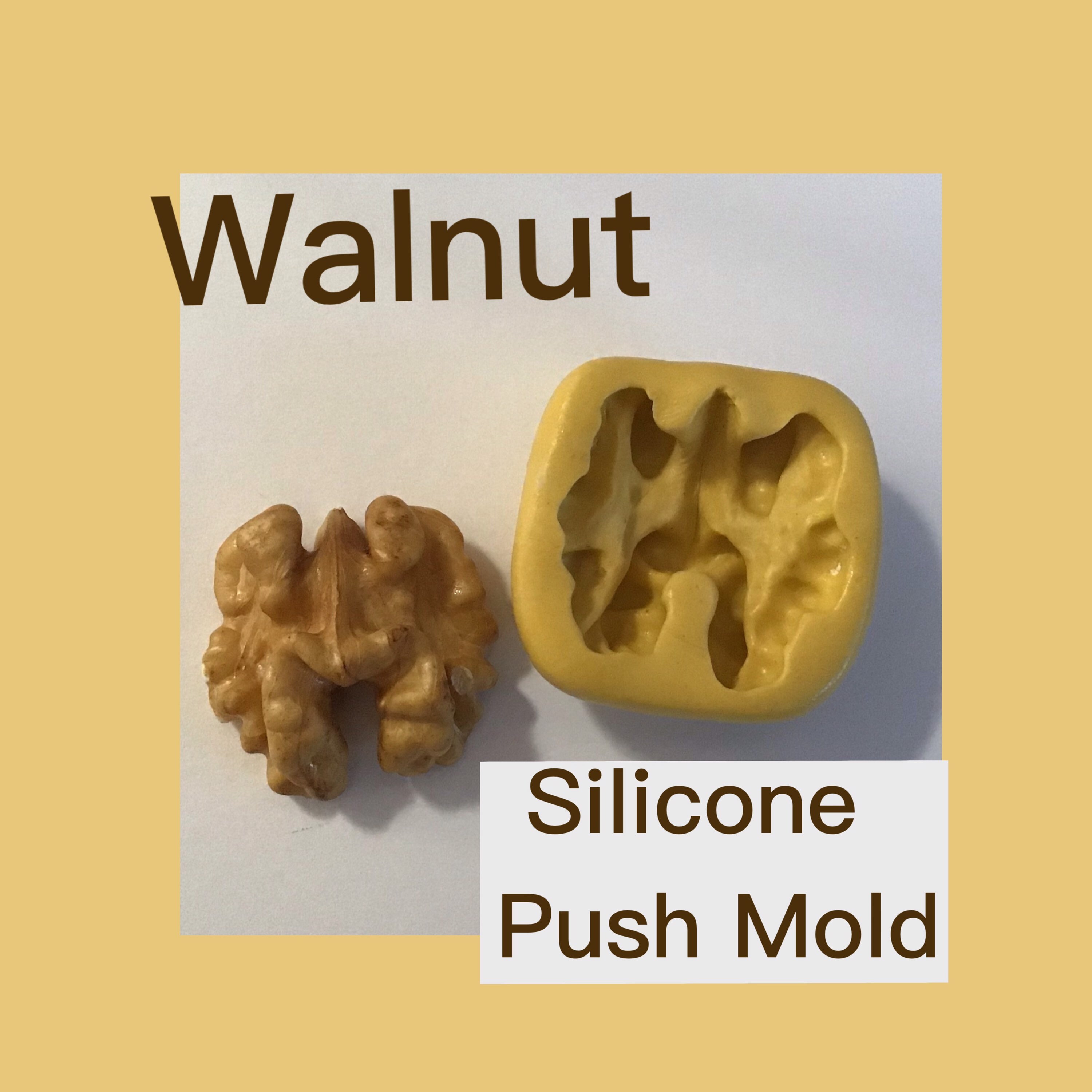 WALNUT SILICONE MOLD walnut mold walnut half mold realistic Etsy